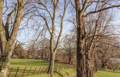 Cymryd Uchaf - Foto 43