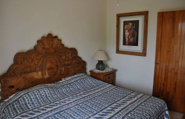 Centrico con Seguridad y Alberca - Foto 2