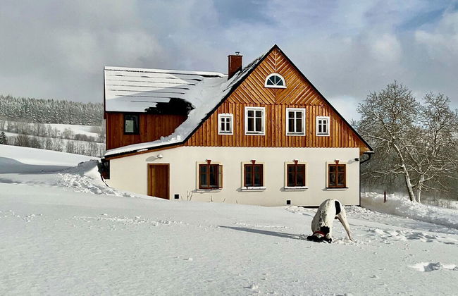 V Chov nad Jizerou Lvv033 - Photo 64