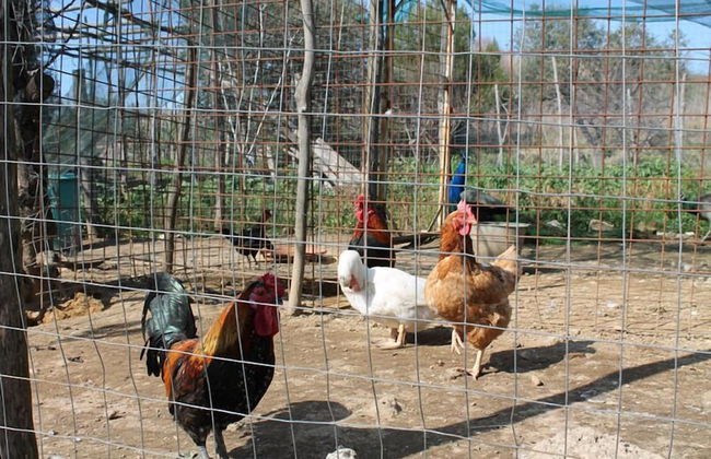 Agriturismo Piccolo Paradiso - Foto 68