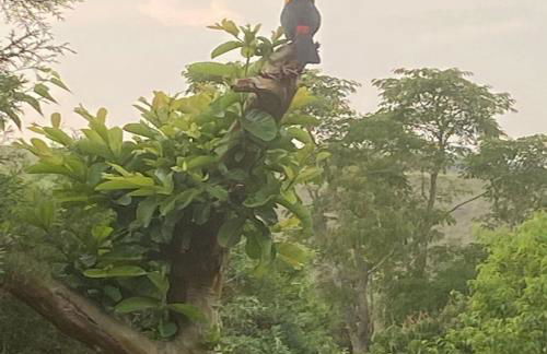 Chácara do Nari - Casa com Piscina em Condomínio Fechado - Photo 52