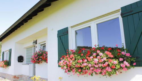 Ferienwohnung Gerolstein - Foto 3, Garden