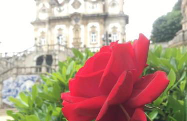 Fafel Little House - Foto 26