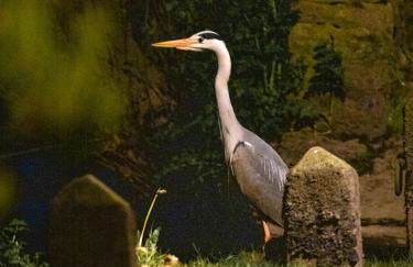 Hot Tub With A View - Christchurch Harbour - Photo 29