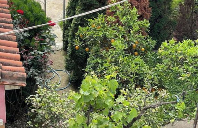 Kalpazo Tirana Vila 313 - Foto 52