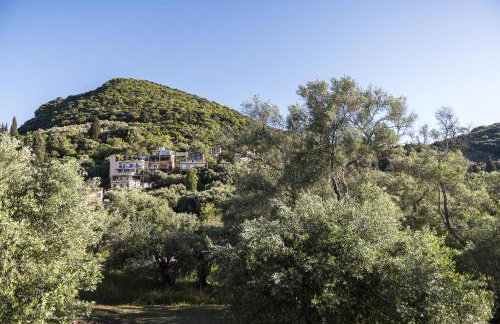 Conte Marco Sunny Garden Home - Foto 20