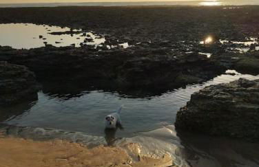 maison de village - Foto 9