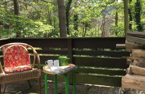 Ferienhaus im Wald an der Weinstrasse - Foto 7