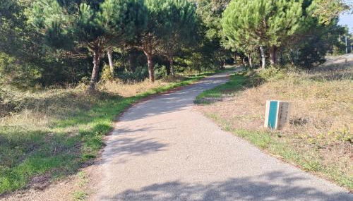 Big Fish 1 - Charming Beach Apartment - Foto 5