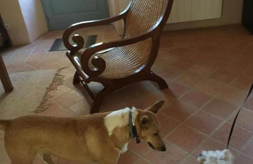 Maison périgourdine avec piscine privée, Wifi, animaux acceptés à proximité de Lascaux - FR-1-616-460 - Foto 15