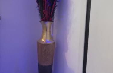 Athens Riviera apt with seaview, 15' to Acropolis - Foto 74