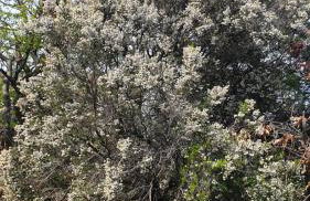 Casa Francesca a 2,5 km da Iseo - Foto 37