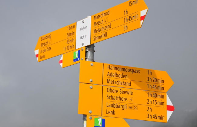 Sumpfbödeli - Foto 6