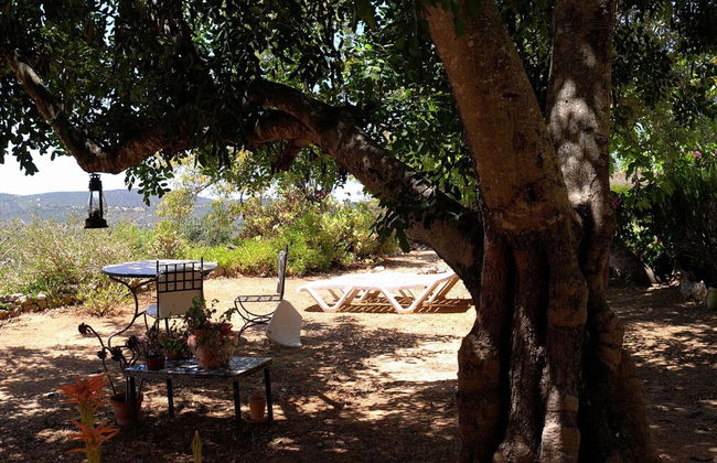 Attractive Portuguese Farm With Modern Decoration - Photo 21