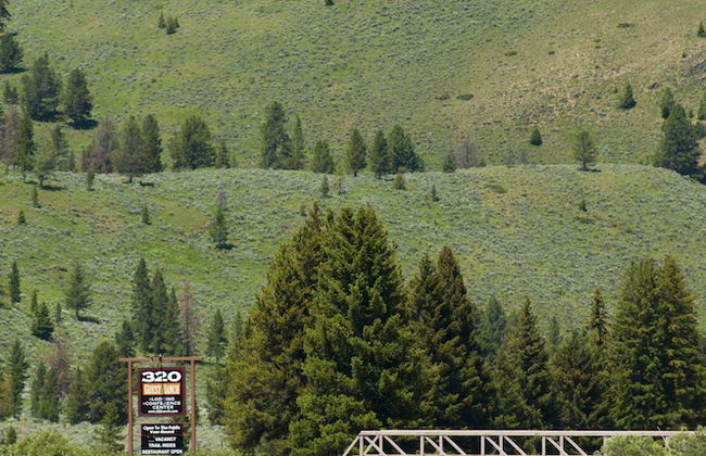 320 Guest Ranch - Photo 66