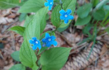 Holiday Home Čančarević - Foto 27