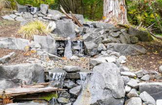 Custom Crafted Forest Retreat with Pond on 5 Acres - Photo 42