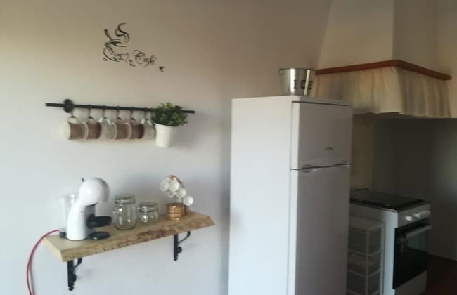 Herdade das Castas Nobres - Photo 22