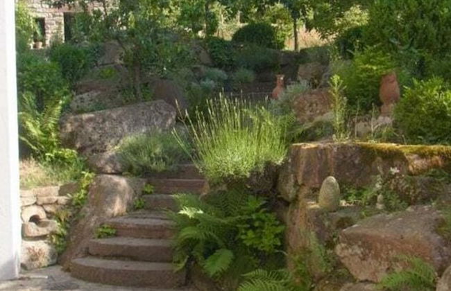 Pfaelzerleben - Foto 19