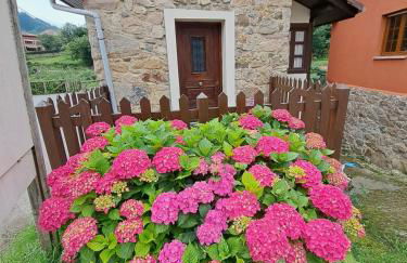 Casa Rural El Puente de Agues - Foto 32