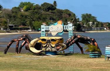 Caju Verde - Barra do Cunhau - Photo 13