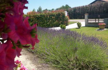 Appartamento Lavanda - Casa vacanza nel Delta del Po - Foto 17