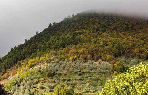 Apartment in Firenzuola Near Lake Arezzo - Foto 14