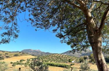 Cortijo Burruelo - Photo 24