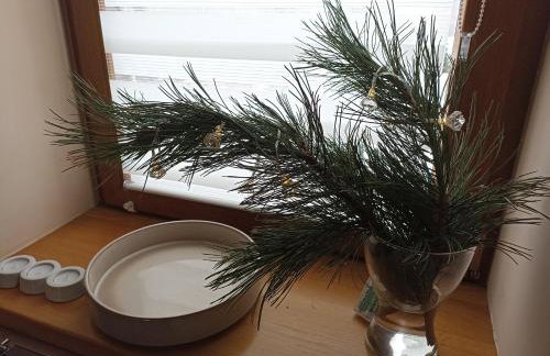 Przytulne Studio Borówkowy Zagajnik - Foto 16