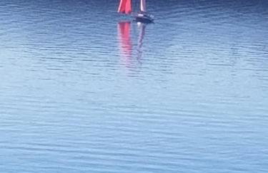 Primavera - Photo 78