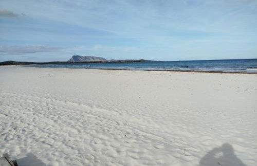 La casa nel borgo, in a cozy charming village, 15 min to Beach, Small pets welcome - Foto 27