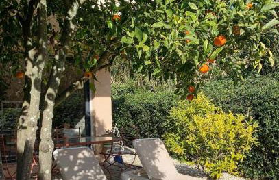 Les Sarments - Foto 1