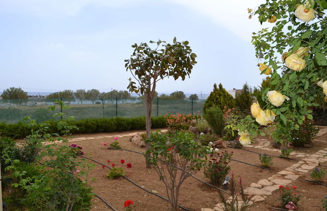 Villa Elena - Photo 38