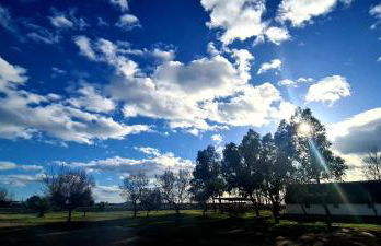 Can Carles - Delta del Ebro - Foto 69