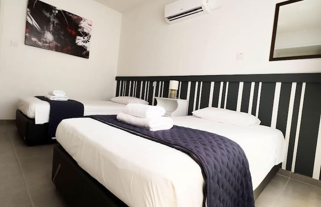 Olive Island - Foto 9