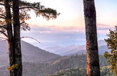 Serenity Ridge - Foto 45