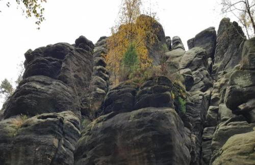 Ferienwohnung in Struppen - Foto 73