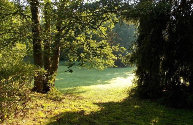 Bad Elster Apartment in Sohl - Foto 35