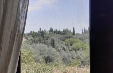 Corfu Cosy Apartment by the Nature - Foto 7