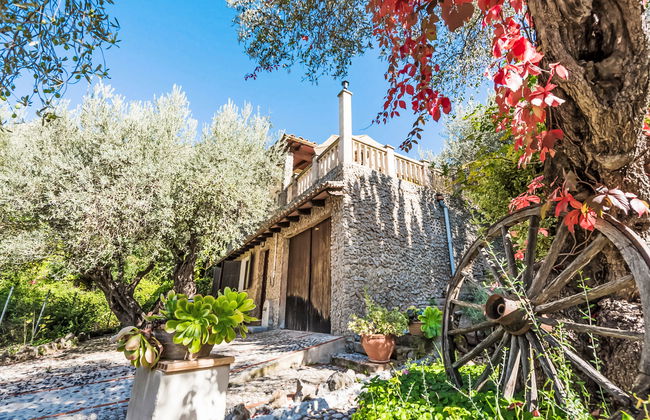 Cala Tuent - Photo 38