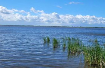 Boho House - Foto 38