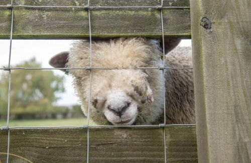 Tockwith Lodge Barn - Foto 42