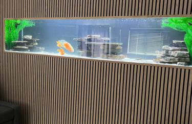 Terfyn Hall aquarium apartment 1 - Foto 23