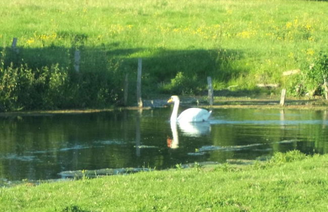 Gite in Etretat Near Cliffs & Beach - Foto 33