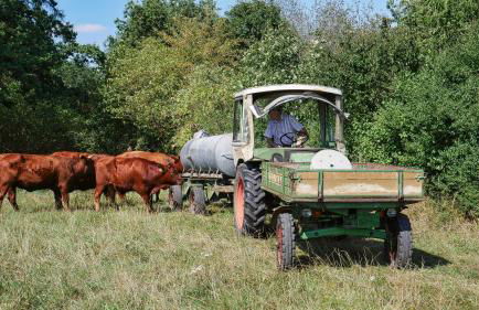 Ferienhof Zinn - Foto 10