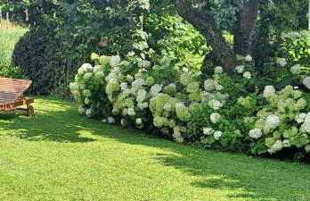 Ferienwohnungen Riedel - Foto 14