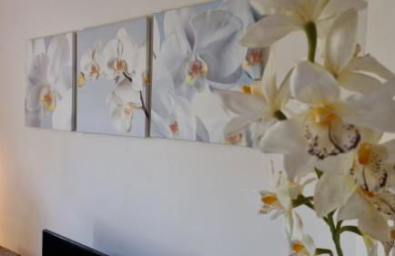 Villa au golf de St-Endréol - Foto 12