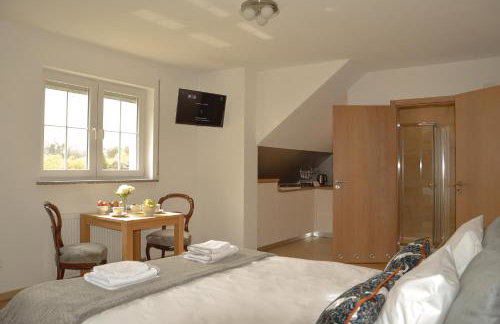 Apartamenty Agroturystyczne Papiernia Grill, Sauna & Jacuzzi - Foto 76