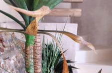 ClockWise Earthy Vibe House in Apano Chora - Photo 16