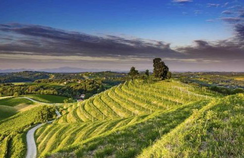 Holiday Home Mađerka - Foto 46